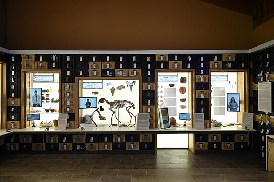 Tour image 4