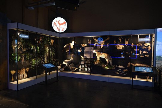 Tour image 5